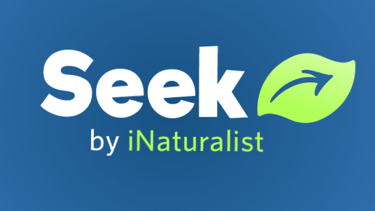 seek logo