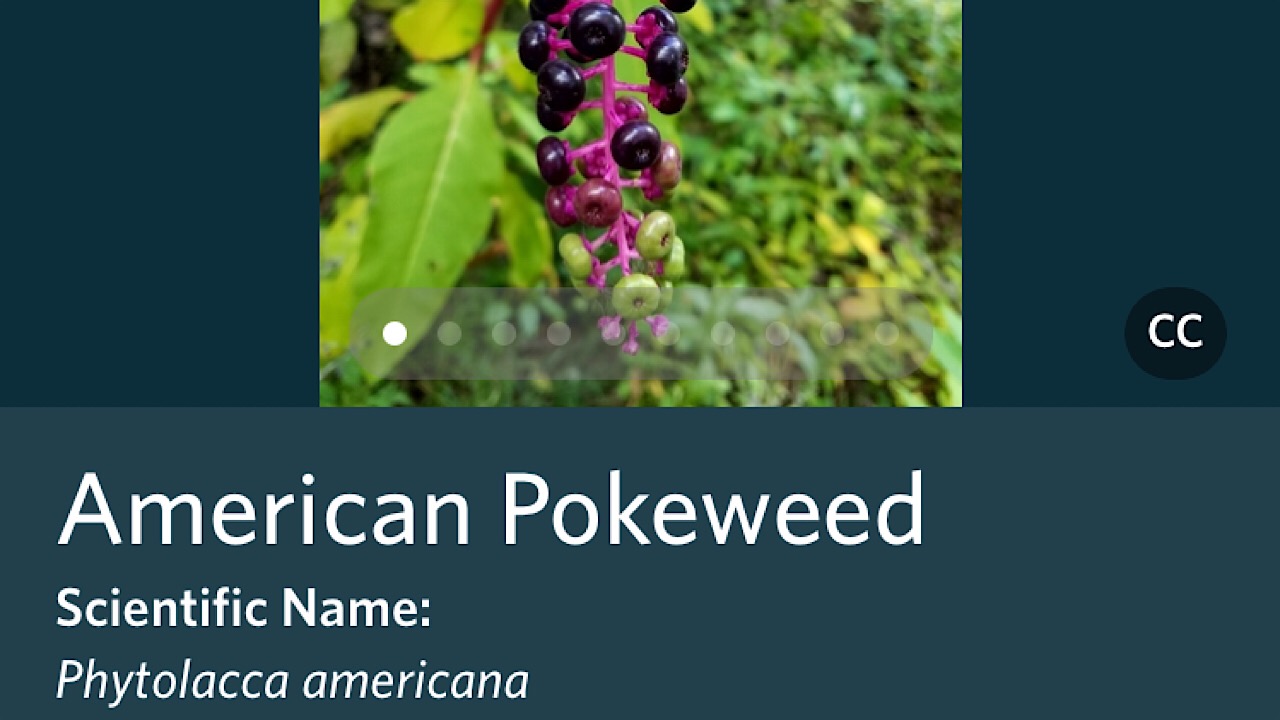 seek app screenshot