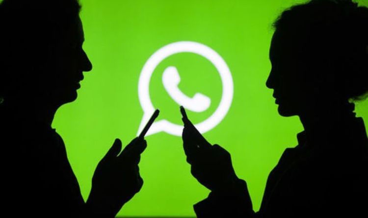 How to use WhatsApp’s voice-to-text feature