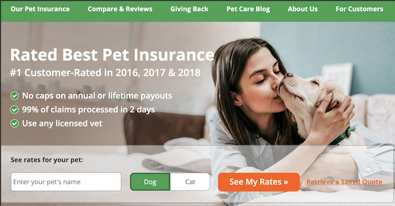 healthy paws insurance