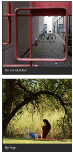 frame your subject