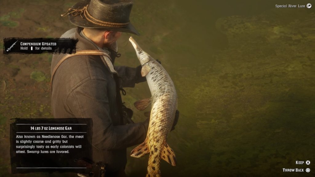 red dead redemption 2 fishing guide fish