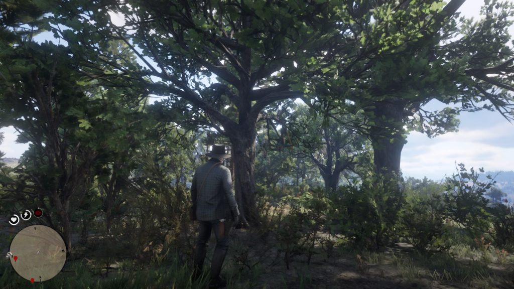 red dead redemption 2 dreamcatcher location guide