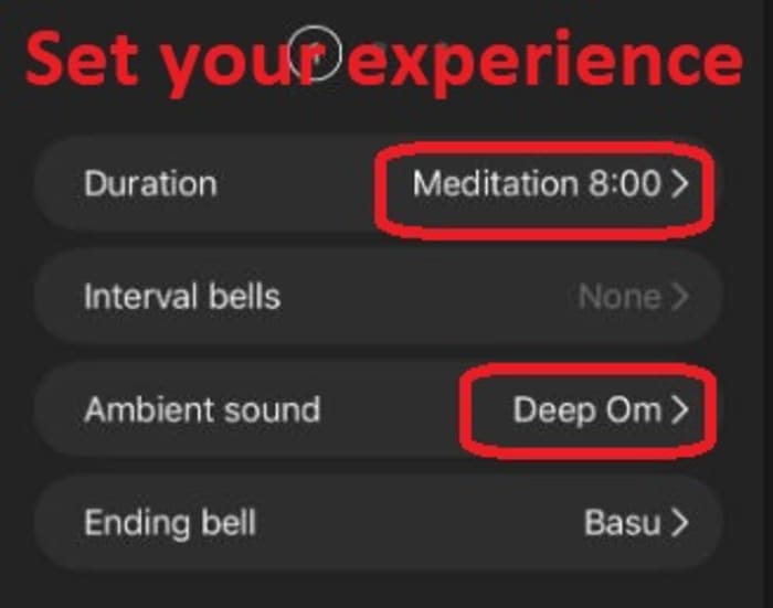 Insight Timer settings