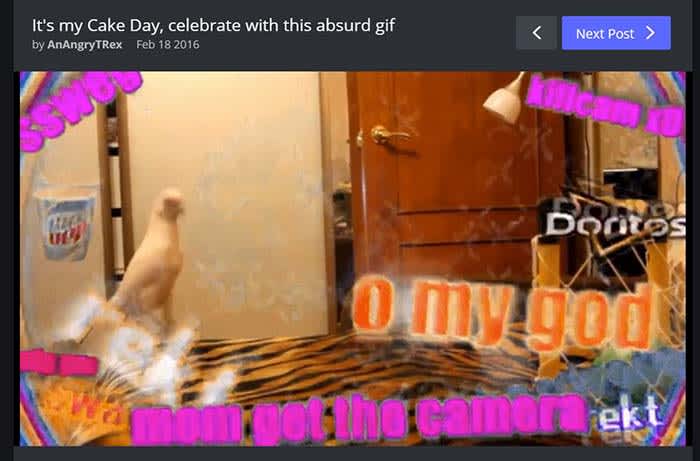 Imgur cake day
