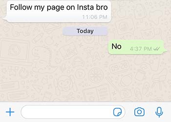 WhatsApp Insta bro