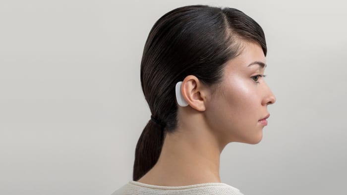 Elon Musk brain chip