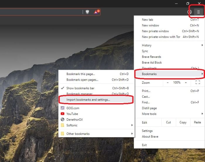 Brave Import Bookmarks and settings