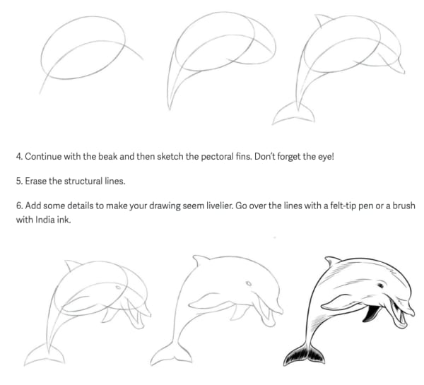 learn to draw animals step by step animal drawing