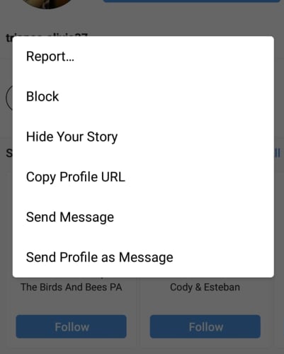 how to block instagram bot
