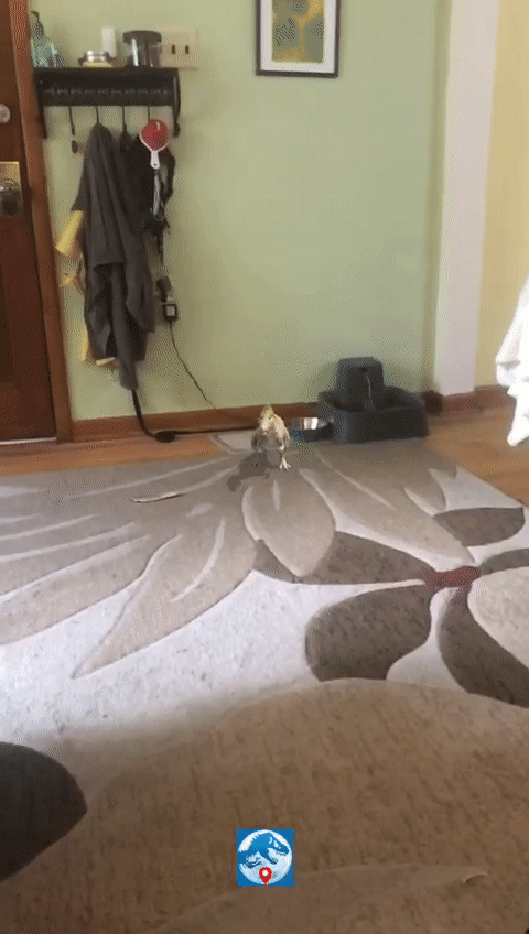 Dinosaur