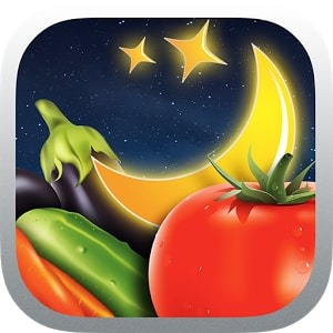 Moon and Garden