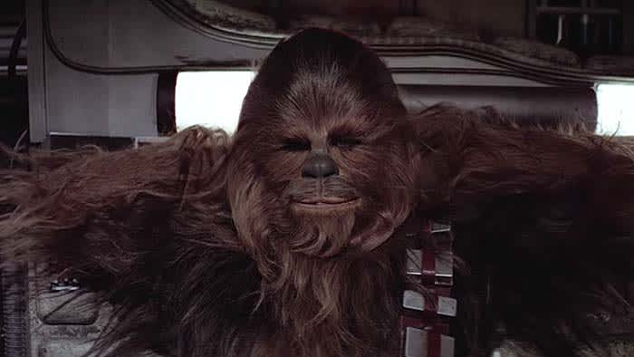 Chewbacca