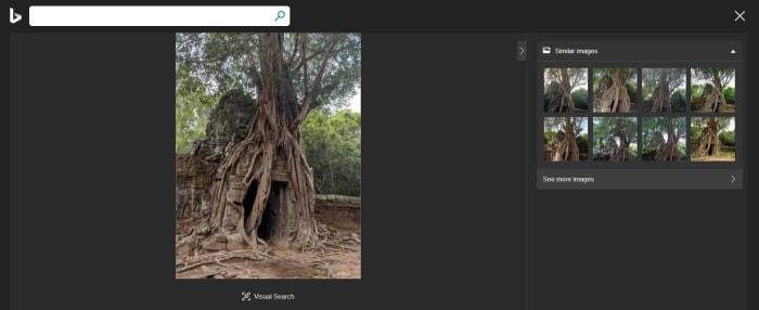 search for similar images bing microsoft photos