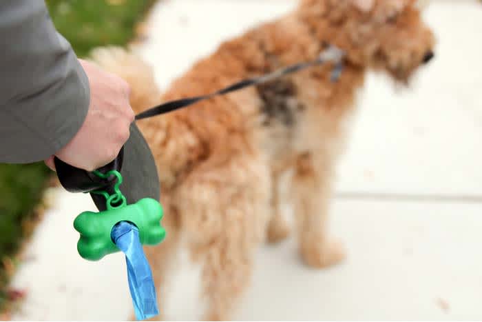 Dog bags