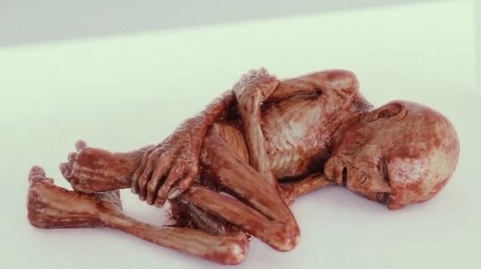 Deathly Hallows Voldemort broken soul