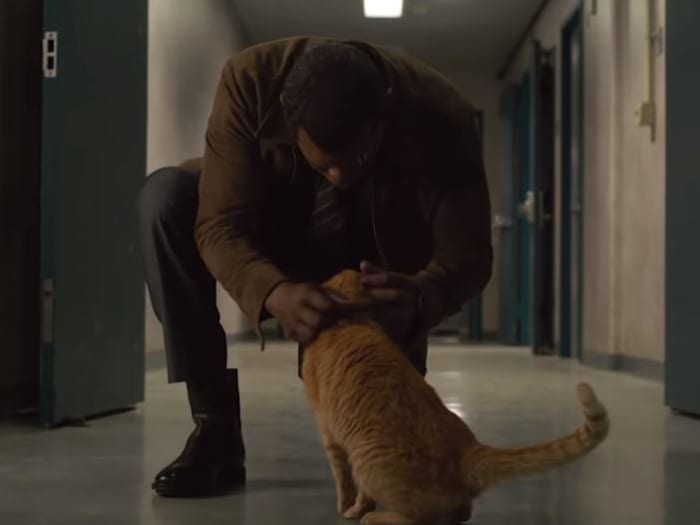 Nick Fury Goose Captain Marvel