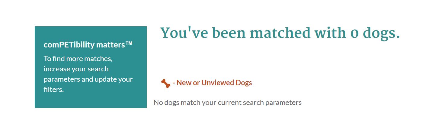 how i met my dog