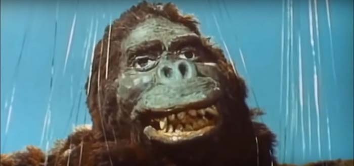 King Kong vs Godzilla