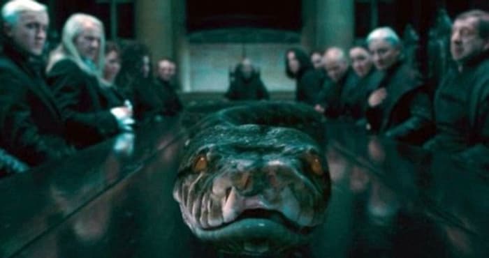 Nagini Deathly Hallows opening scene