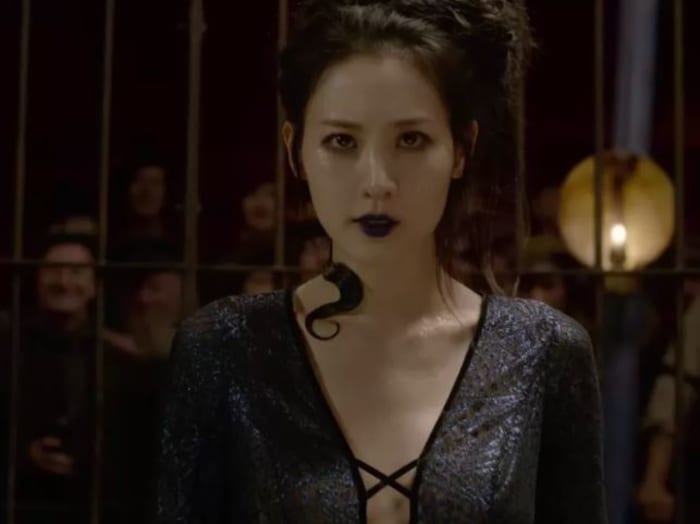 Nagini Fantastic Beasts and Where to Find Them