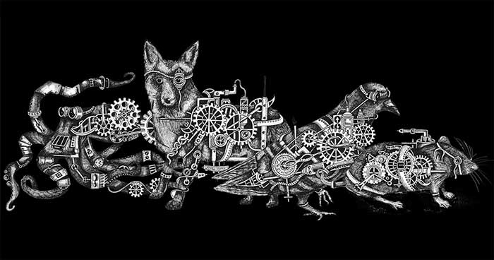 animal AI olympics