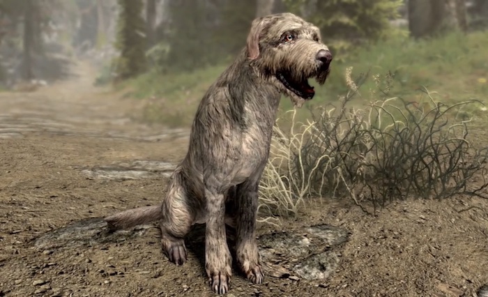 barbas dog skyrim