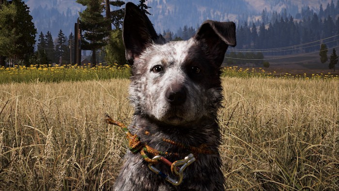 far cry 5 boomer
