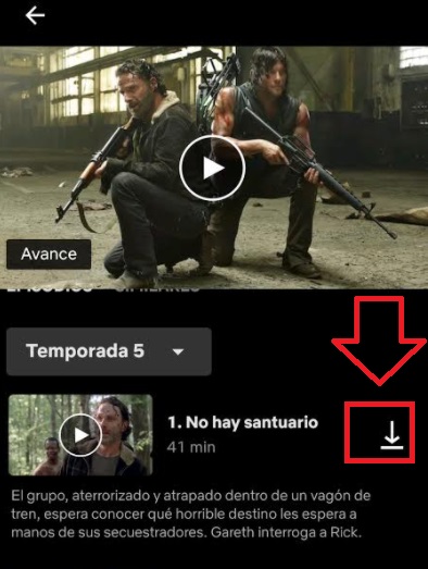 Download episodes on Netflix