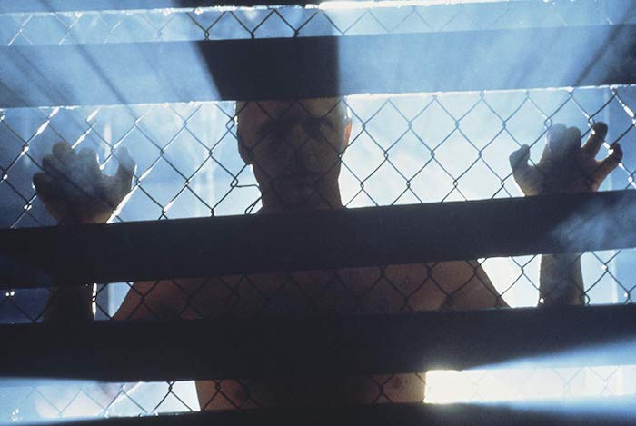 blade runner roy batty