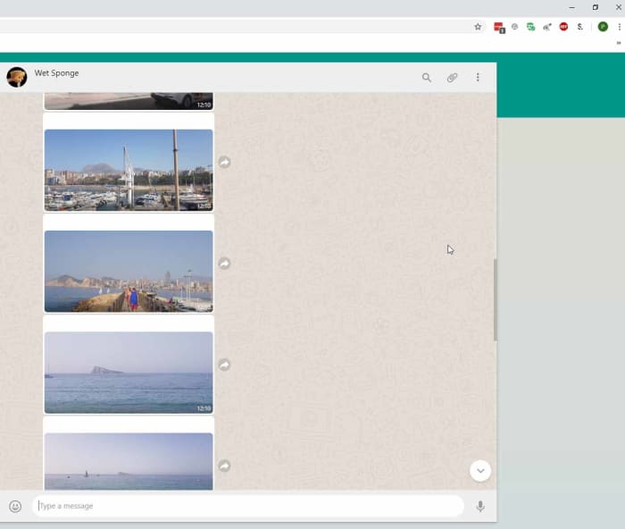 whatsapp web album screenshot