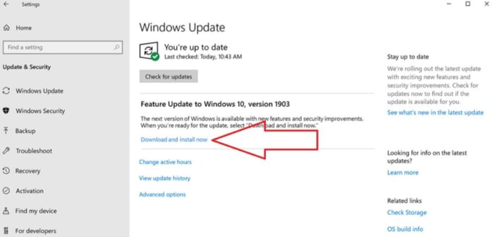 Windows Update download and install now