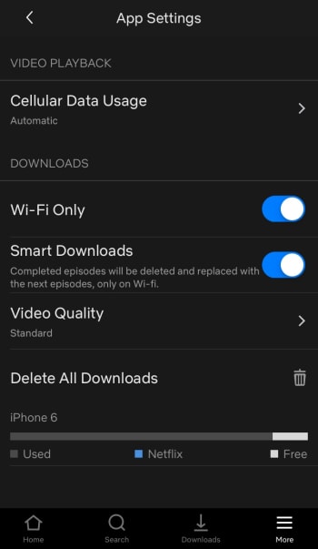 Netflix app settings
