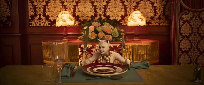 Cat eating