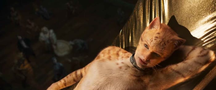 Taylor Swift Cats