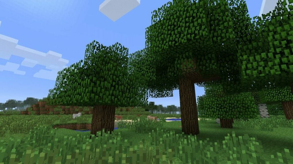 How to play MINECRAFT