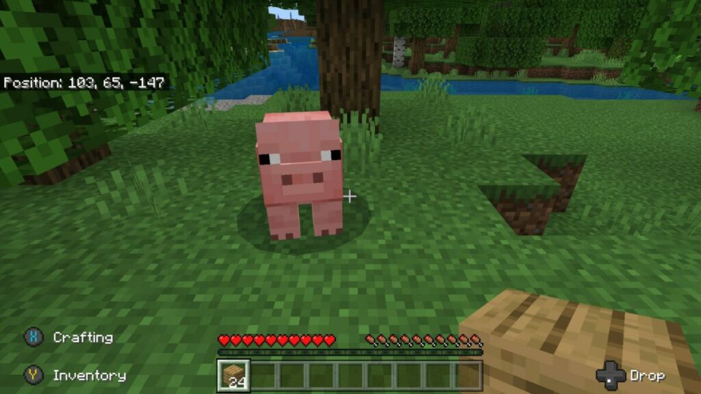 Minecraft review