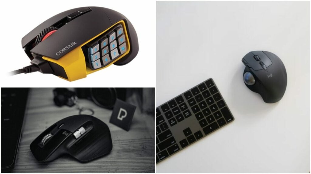 image of different mice types