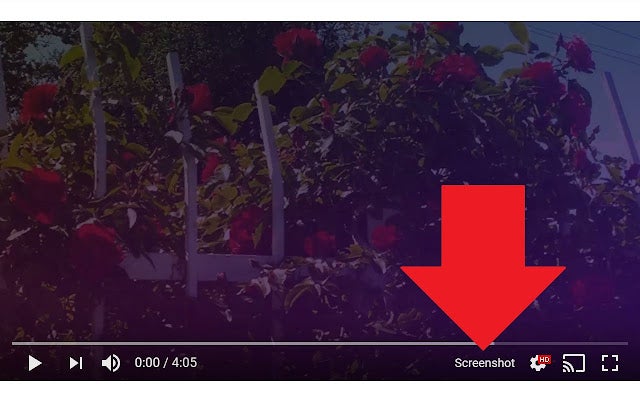 15 Best Chrome extensions for YouTube