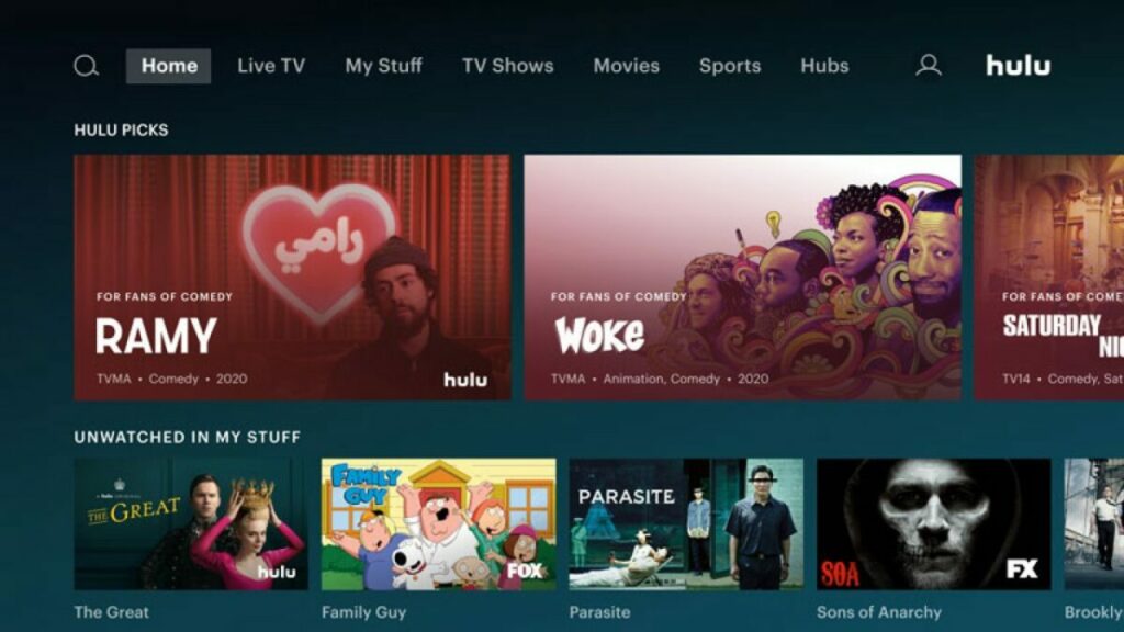 Best 6 alternatives to Netflix that allow sharing accounts