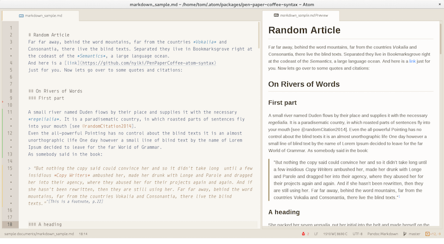 How to use Automerge on NotePad++