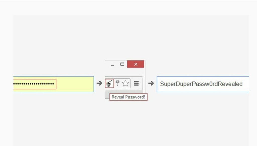 Use Password Revealer to show hidden passwords