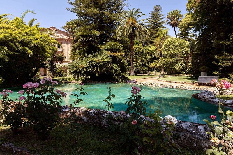 Airbnb hosts The White Lotus from HBO