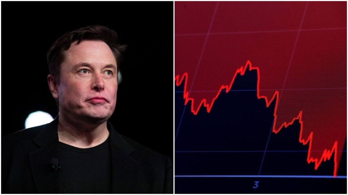 elon musk tesla stock