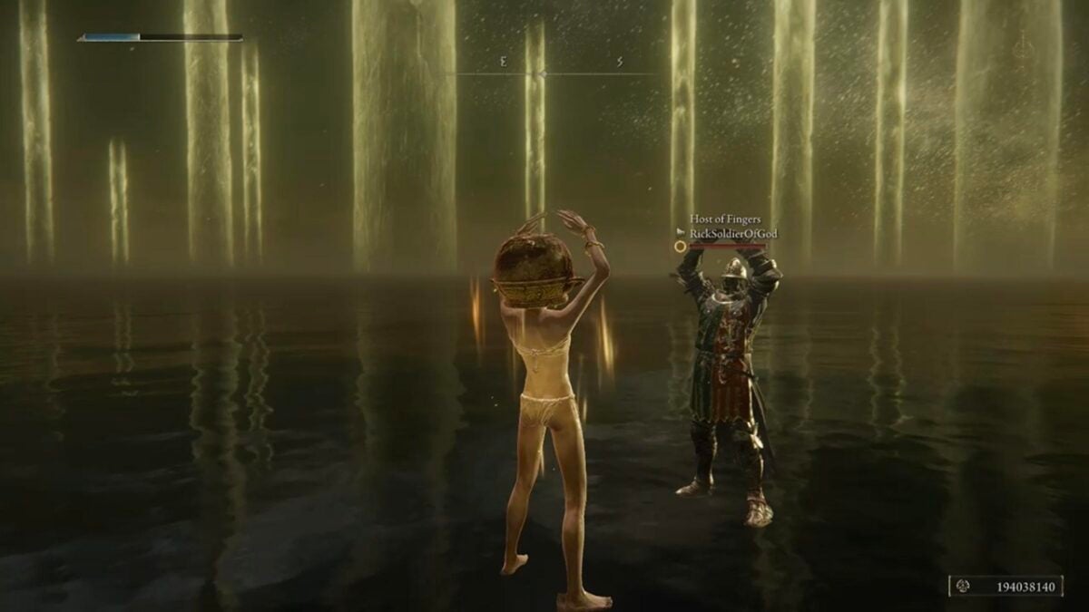 LetMeSoloHer paved the way for LetMeSoloThem to help you defeat the final boss of Elden Ring