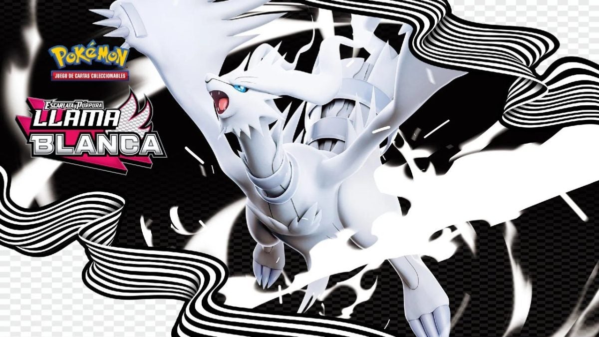 The new Pokémon card collection is every collector's dream