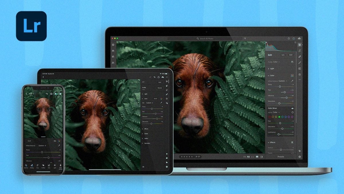 Unlock the Power of Adobe Lightroom: Batch Editing & AI Features Explained