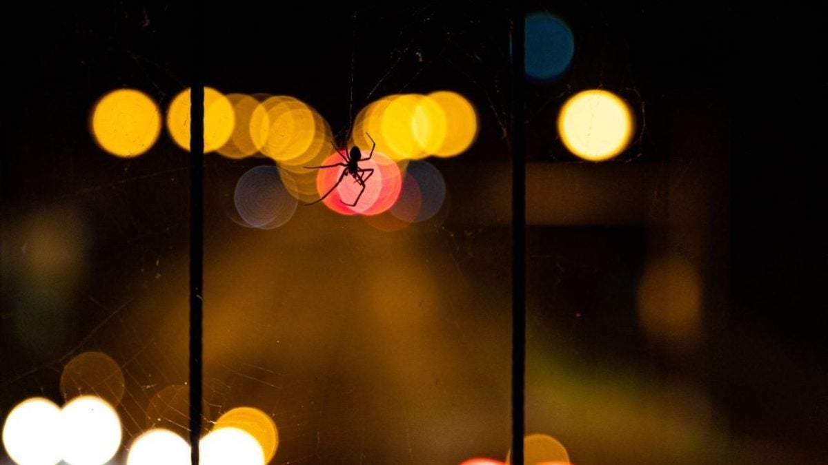 A teenager is arrested as part of the most dangerous group of cybercriminals in recent years