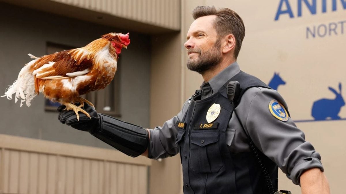 The protagonist of 'Community' has a series you didn't know about… And it has just been renewed for a season 5