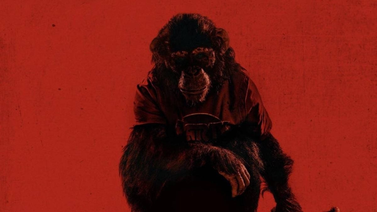 If you're not afraid of chimpanzees, this horror movie wants to change that
